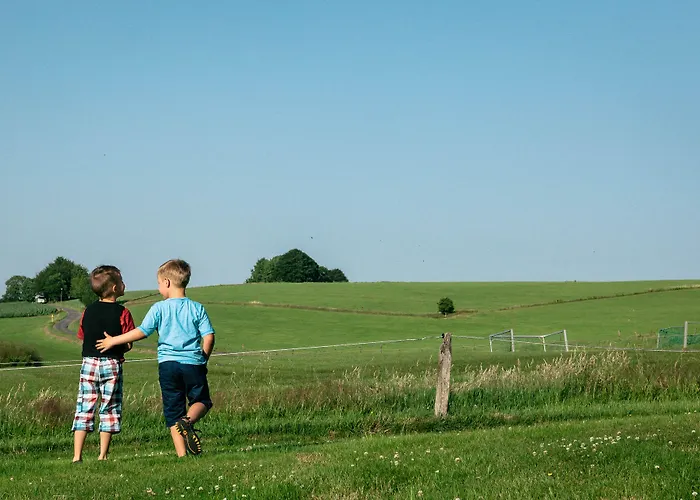 斯派斯博格酒店 3* 阿尔特纳